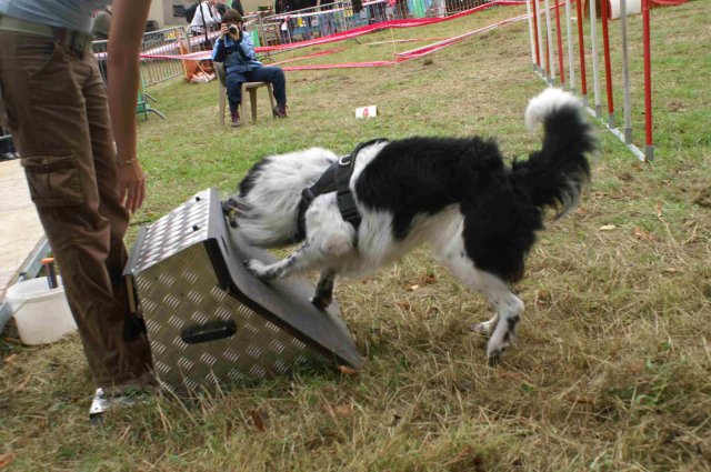 foire-haricots 2011-09-17et18